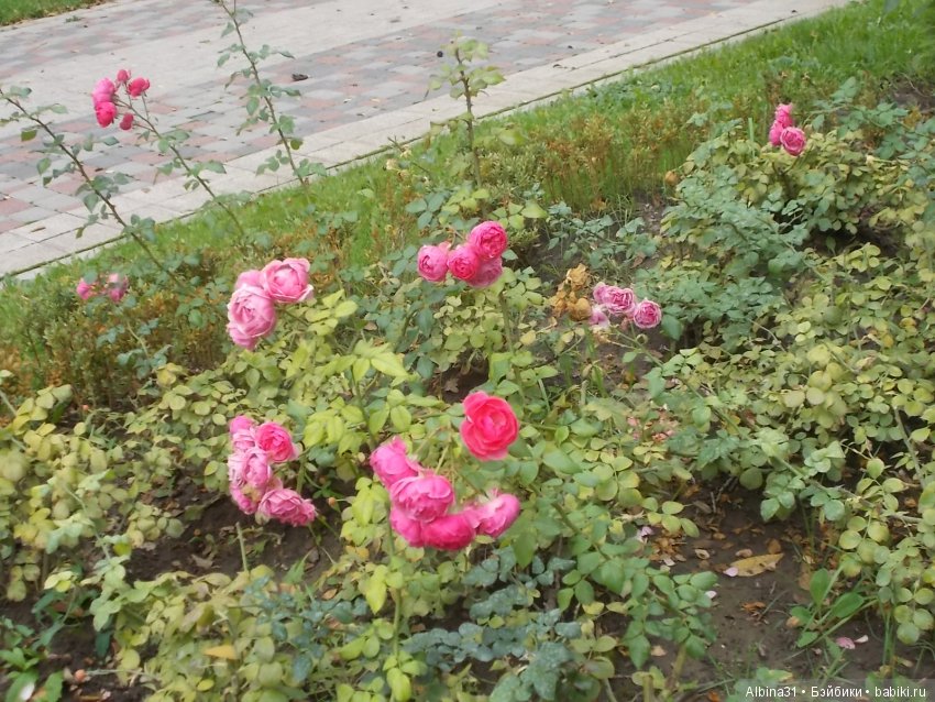 Путевые зарисовки. Краснодар