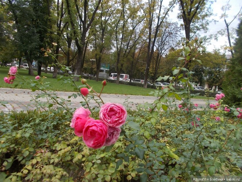 Путевые зарисовки. Краснодар