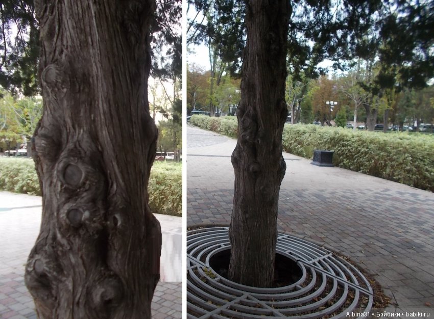 Путевые зарисовки. Краснодар