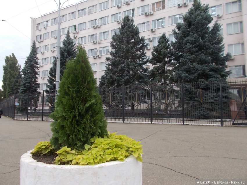 Краснодар, часть вторая — Туризм и путешествия: фотоотчеты из поездок