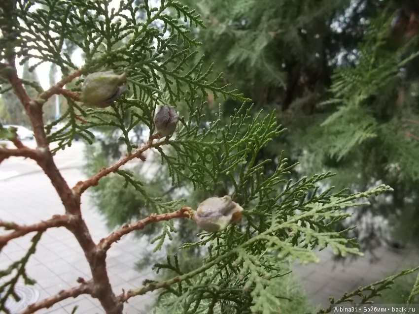 Краснодар, часть вторая — Туризм и путешествия: фотоотчеты из поездок