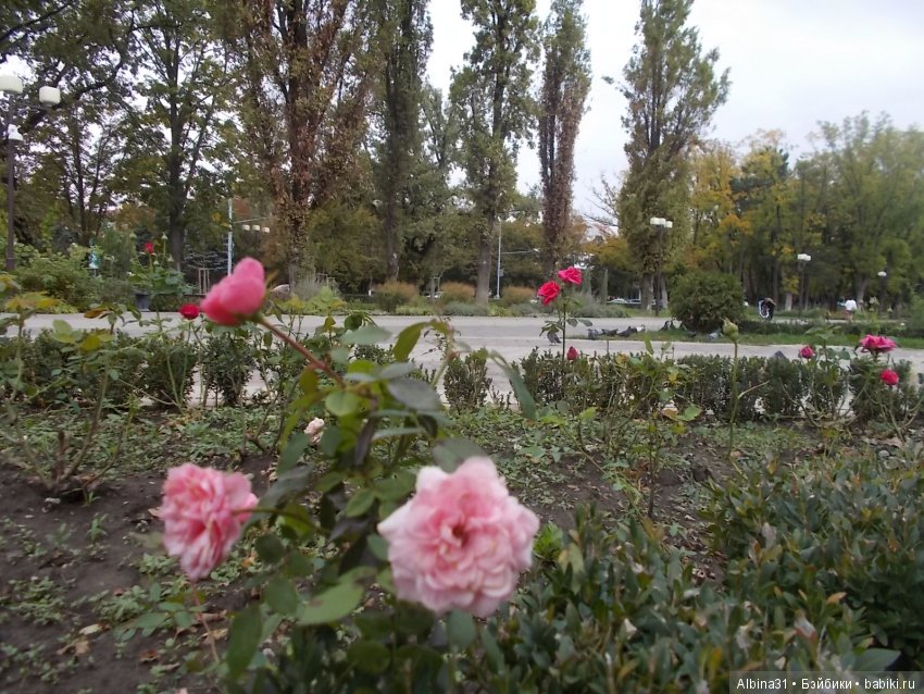 Краснодар, часть вторая — Туризм и путешествия: фотоотчеты из поездок (фото 6)