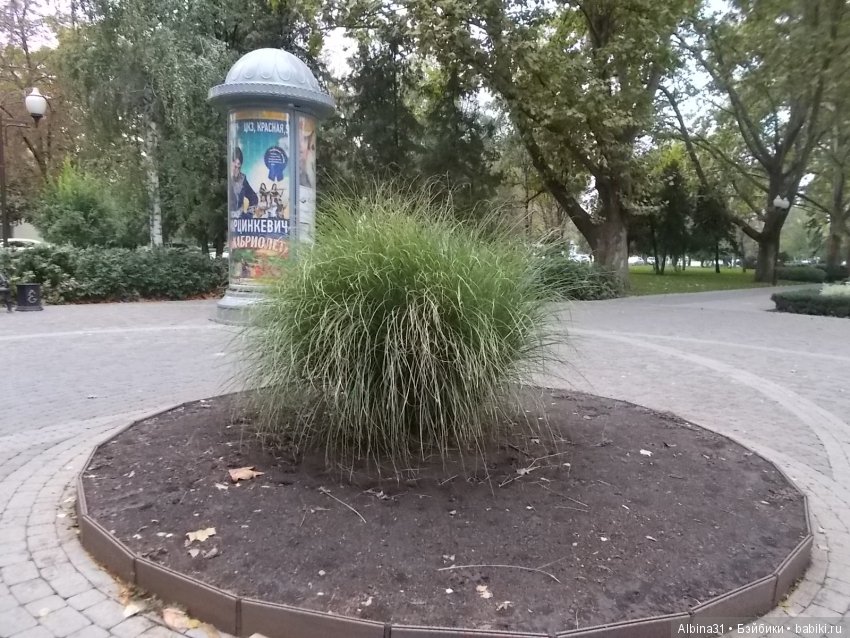 Краснодар, часть вторая — Туризм и путешествия: фотоотчеты из поездок