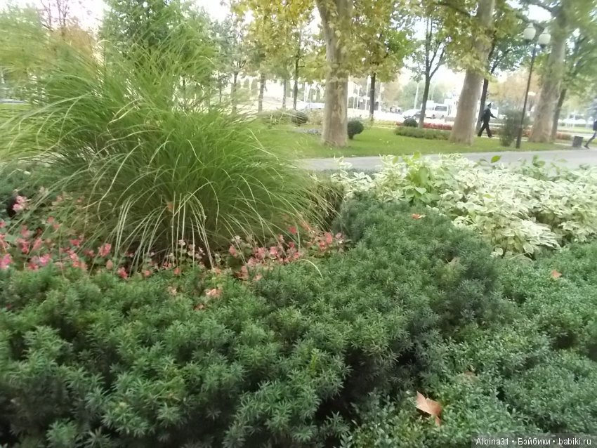 Краснодар, часть вторая — Туризм и путешествия: фотоотчеты из поездок (фото 9)