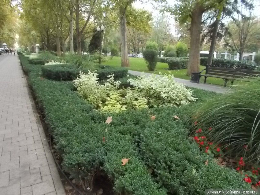 Краснодар, часть вторая — Туризм и путешествия: фотоотчеты из поездок (фото 10)