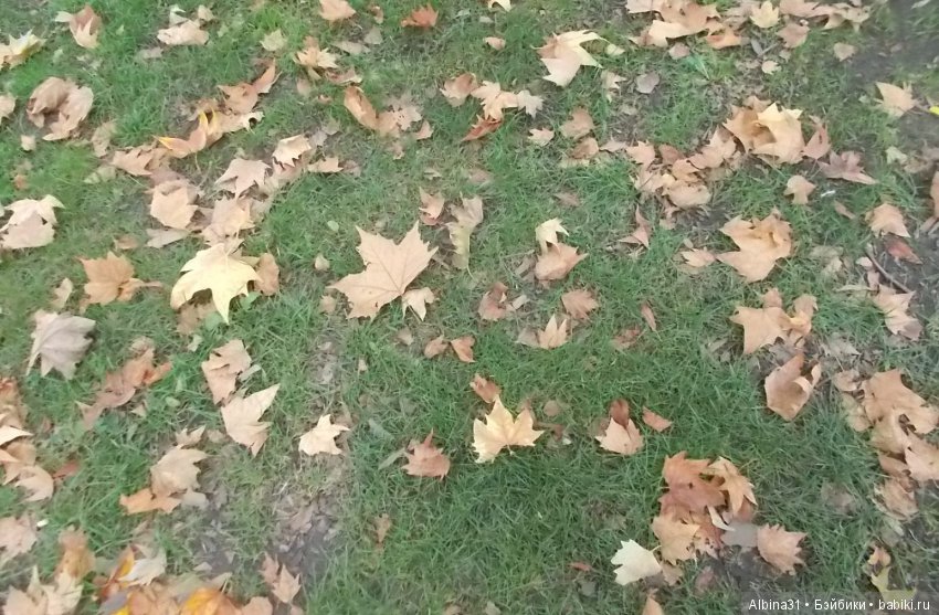 Краснодар, часть вторая — Туризм и путешествия: фотоотчеты из поездок