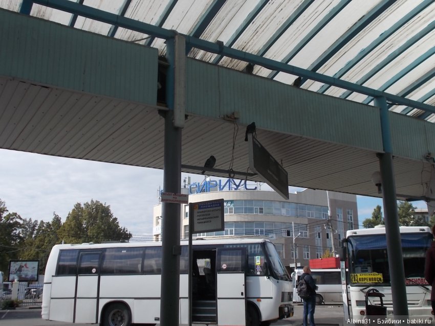 Краснодар, часть вторая — Туризм и путешествия: фотоотчеты из поездок