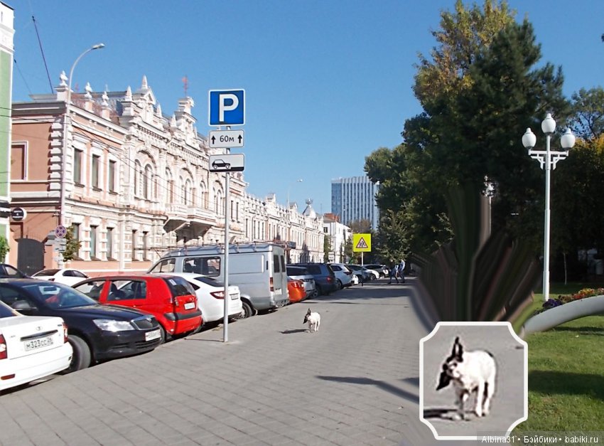 Краснодар, часть вторая — Туризм и путешествия: фотоотчеты из поездок