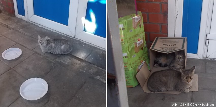 Краснодар, часть вторая — Туризм и путешествия: фотоотчеты из поездок