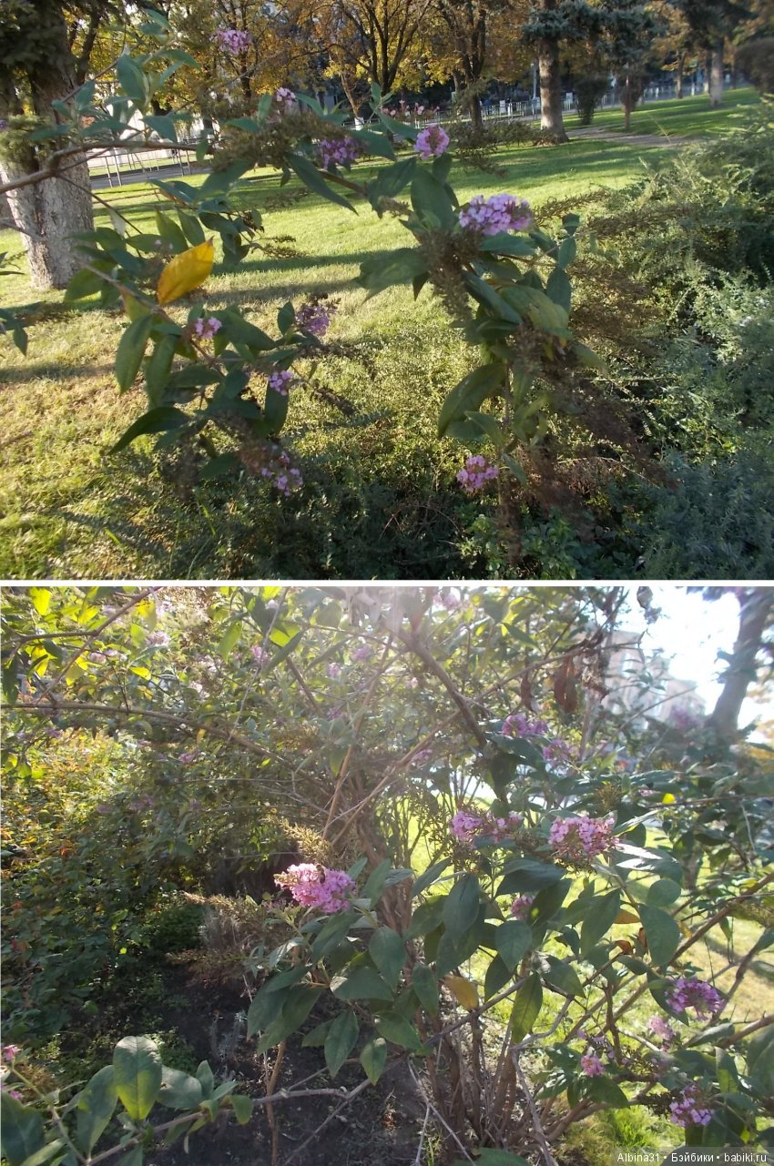 Путевые зарисовки. Краснодар