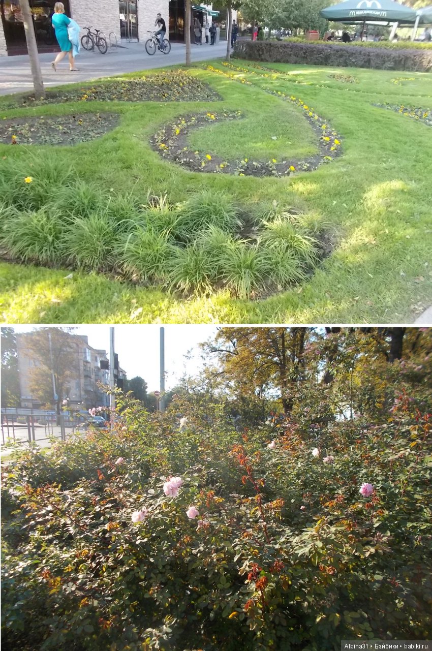 Путевые зарисовки. Краснодар