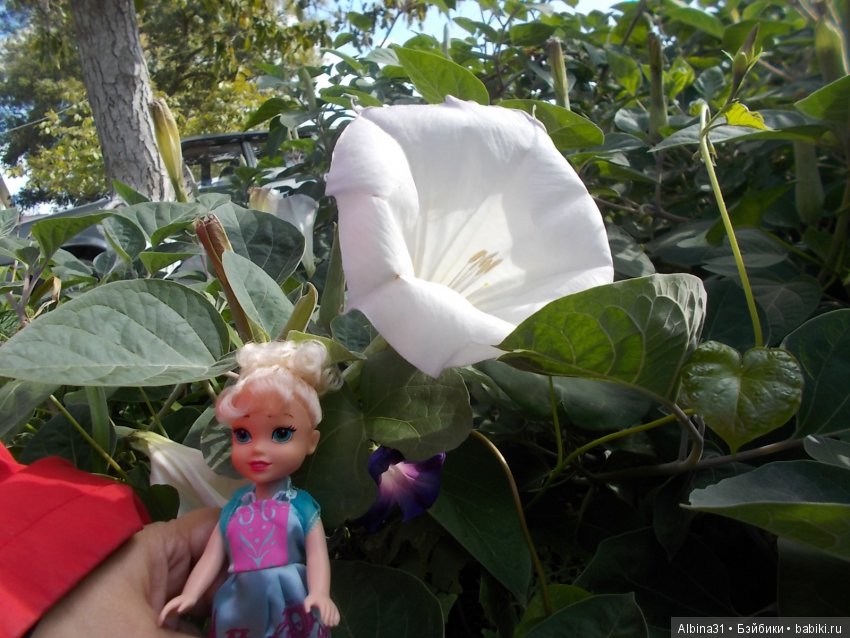 Путевые зарисовки. Приморско- Ахтарск