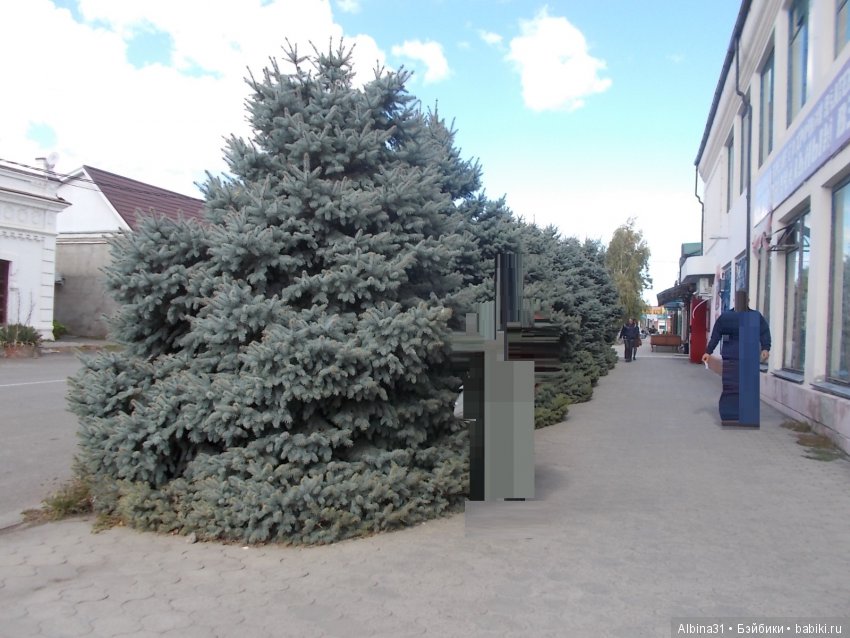 Путевые зарисовки. Приморско- Ахтарск (фото 9)