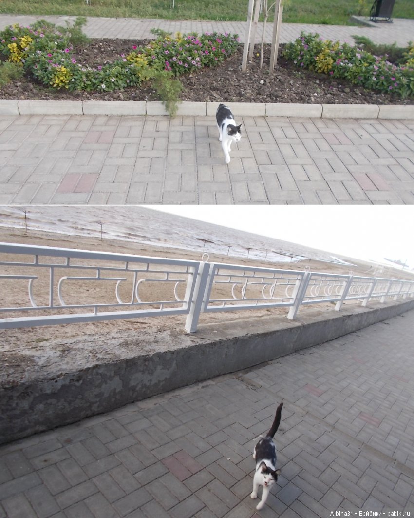 Путевые зарисовки. Приморско- Ахтарск