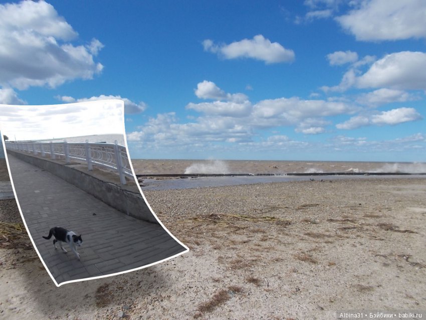 Путевые зарисовки. Приморско- Ахтарск