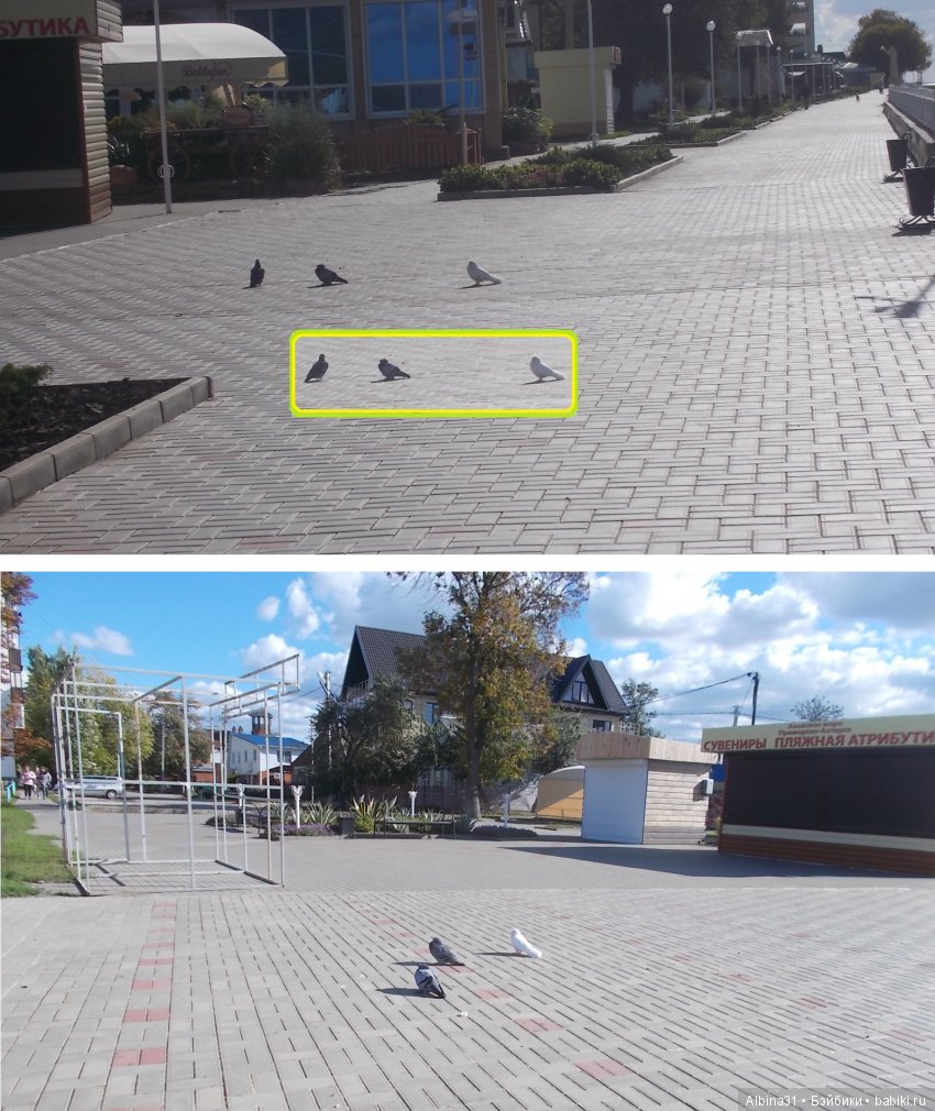 Путевые зарисовки. Приморско- Ахтарск