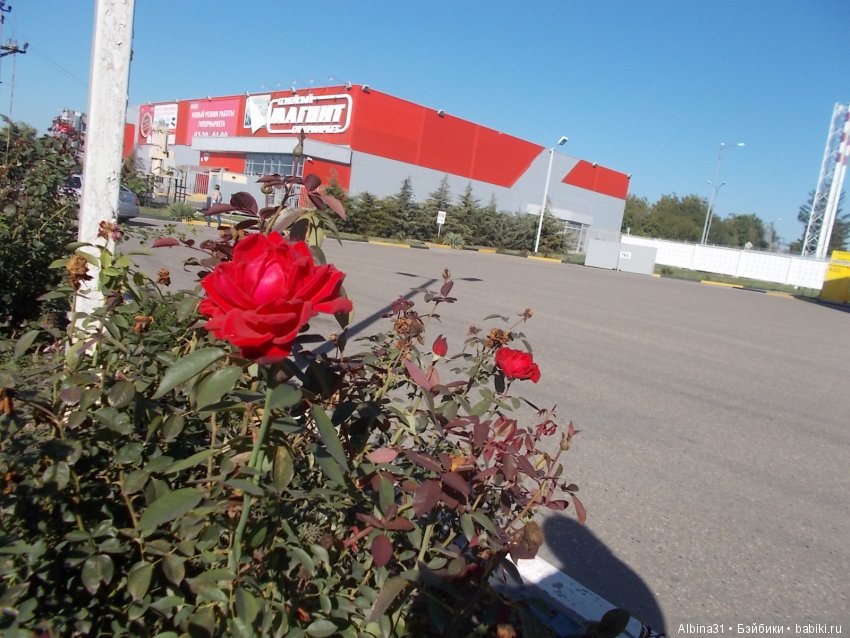 Путевые зарисовки. Краснодарский край (фото 7)