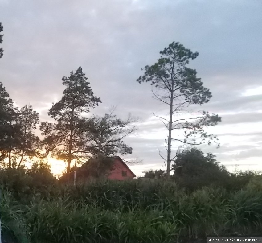 Путевые зарисовки. Краснодарский край