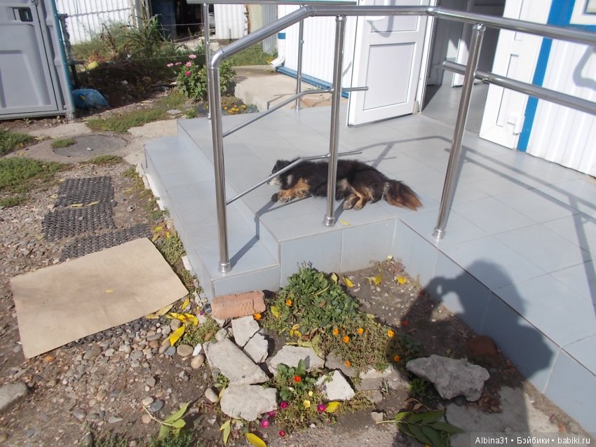 Путевые зарисовки. Краснодарский край (фото 2)