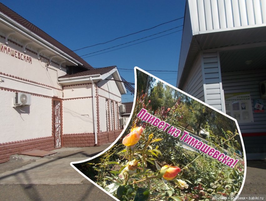 Путевые зарисовки. Краснодарский край (фото 9)