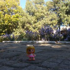 Путевые зарисовки.  Краснодарский край