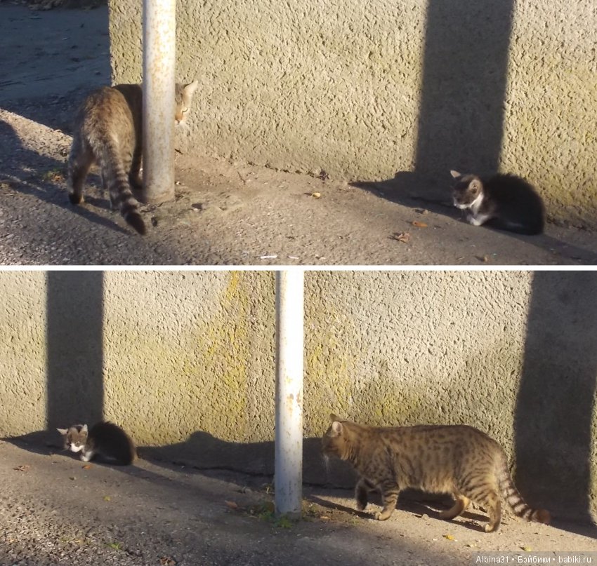 Путевые зарисовки. Краснодарский край