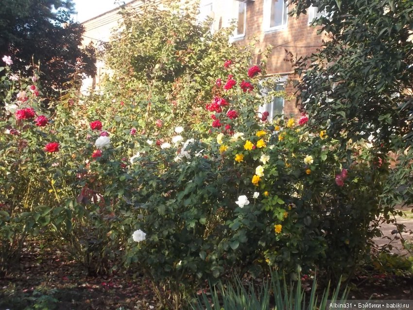 Путевые зарисовки. Краснодарский край