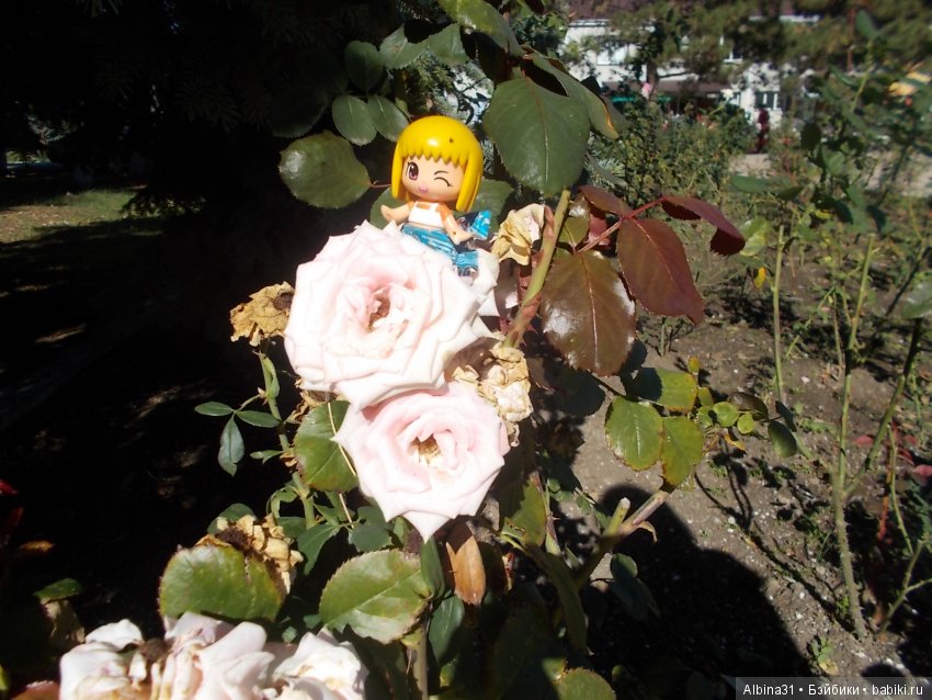 Путевые зарисовки. Краснодарский край