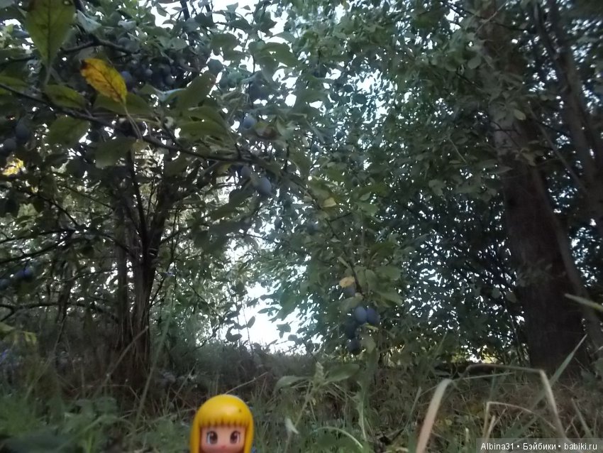 Путевые зарисовки. Краснодарский край