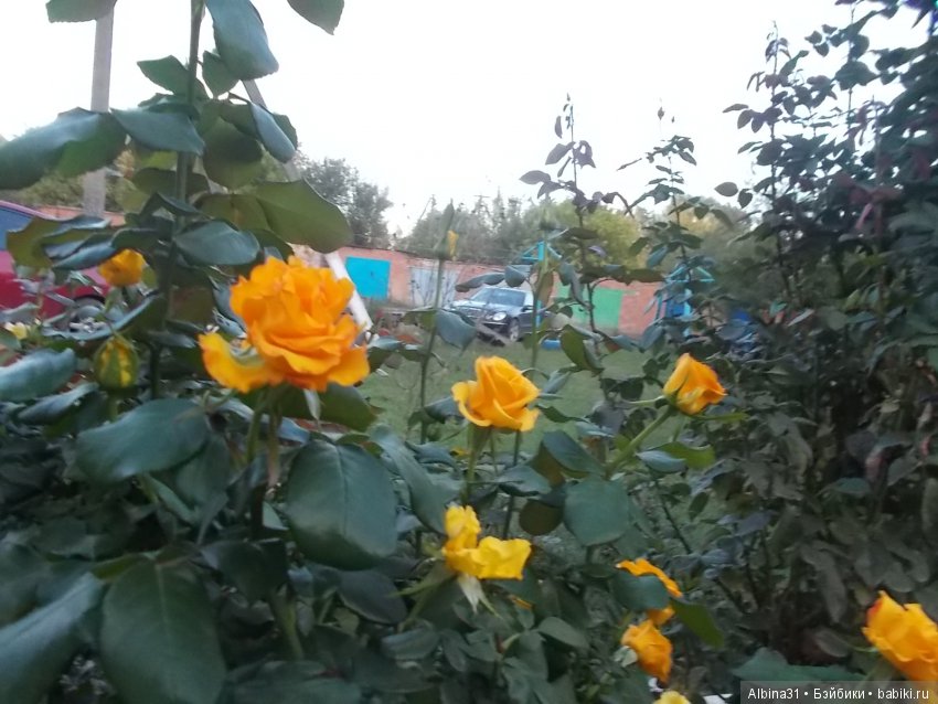 Путевые зарисовки. Краснодарский край