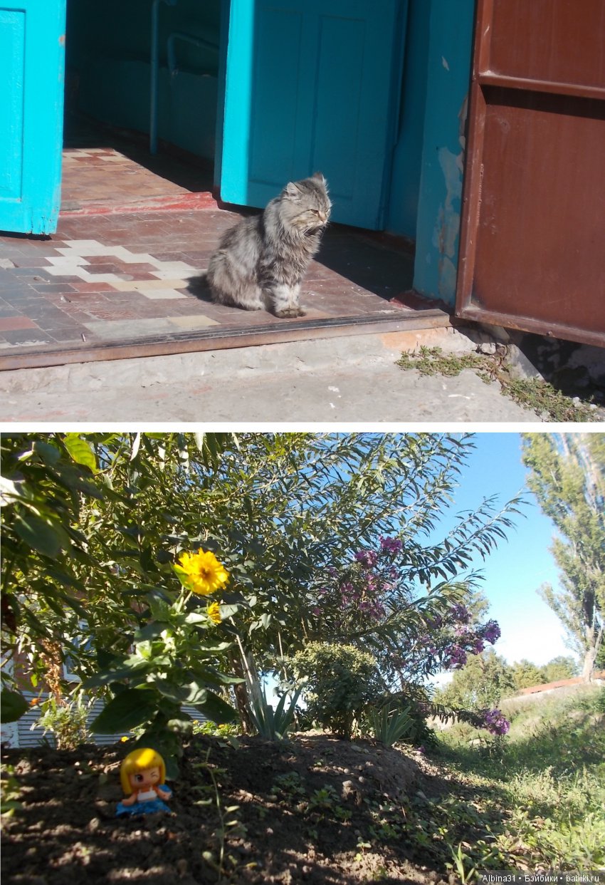 Путевые зарисовки. Краснодарский край