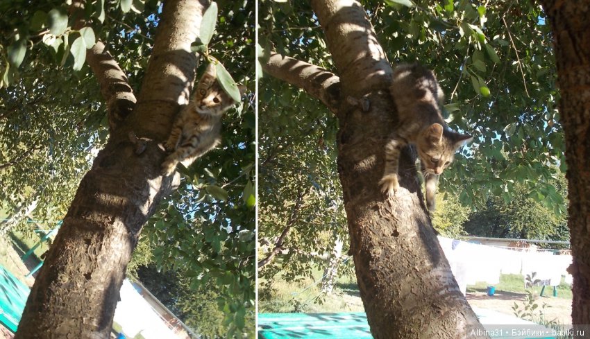 Путевые зарисовки. Краснодарский край