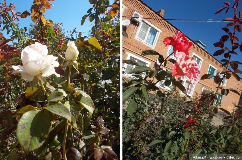 Путевые зарисовки. Краснодарский край
