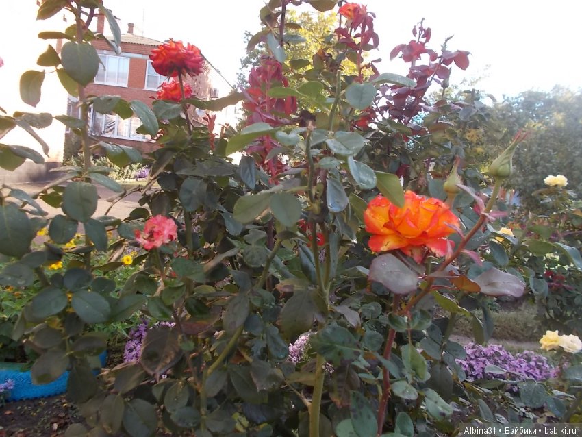 Путевые зарисовки. Краснодарский край