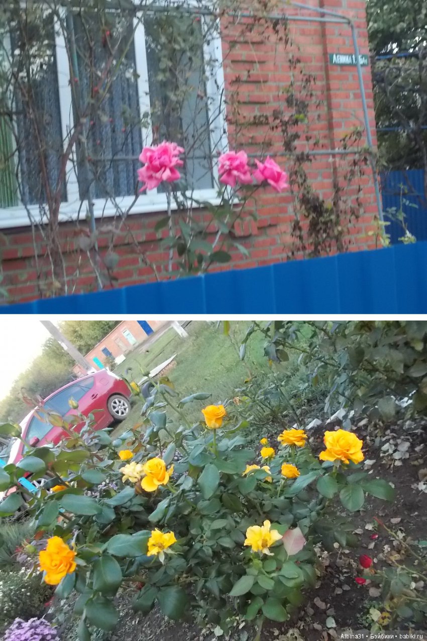 Путевые зарисовки. Краснодарский край