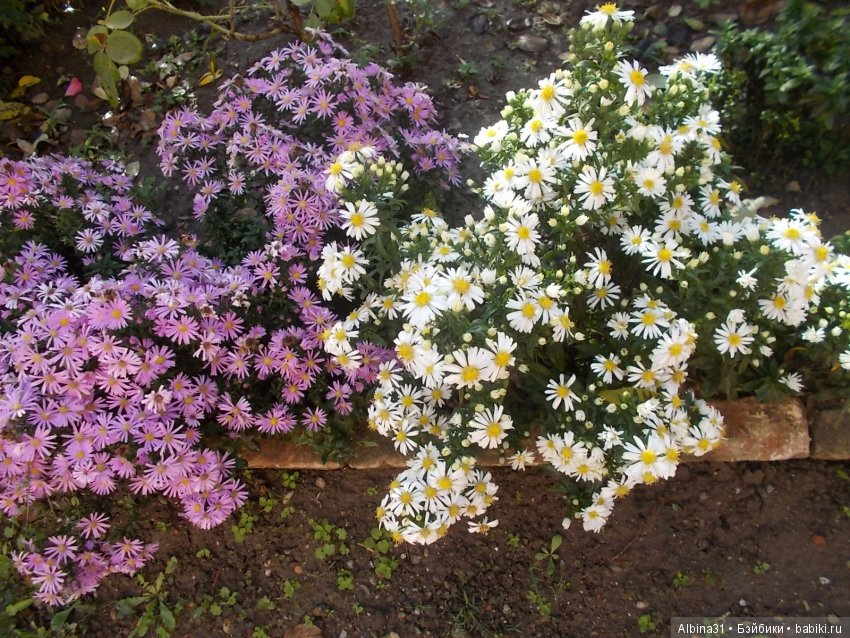 Путевые зарисовки. Краснодарский край