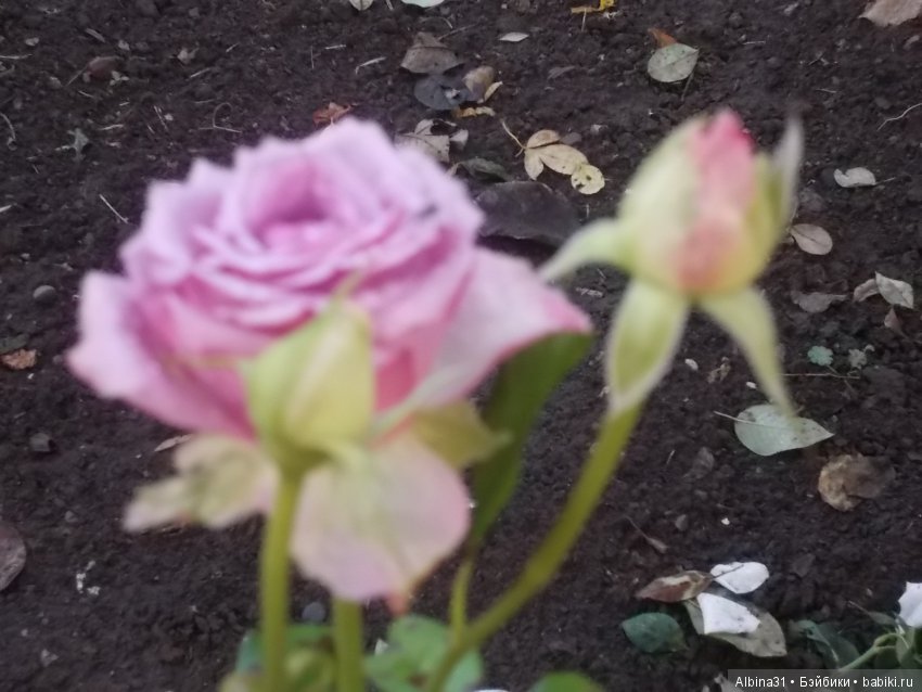 Путевые зарисовки. Краснодарский край