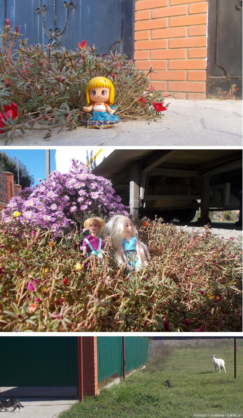 Путевые зарисовки. Краснодарский край