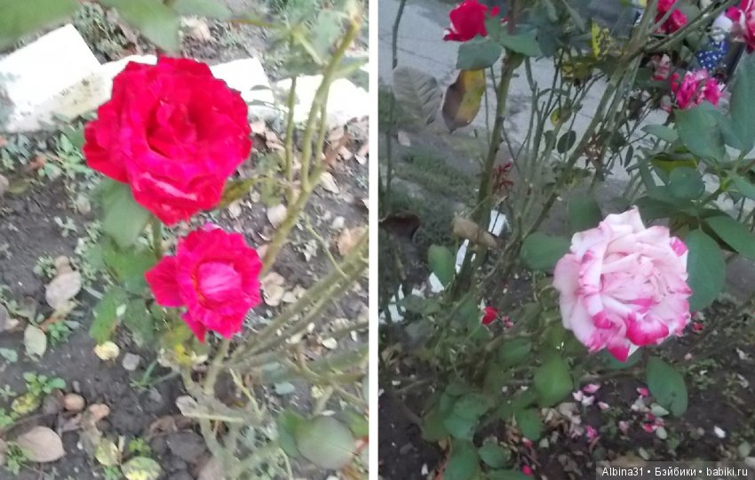 Путевые зарисовки. Краснодарский край