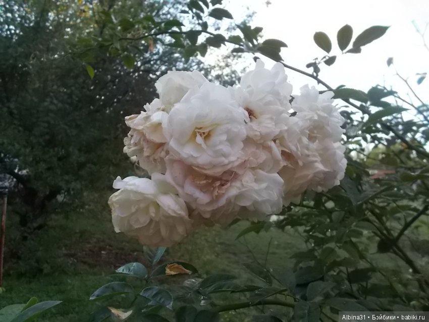 Путевые зарисовки. Краснодарский край