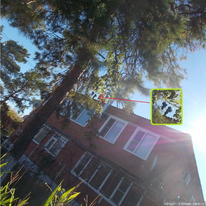 Путевые зарисовки. Краснодарский край