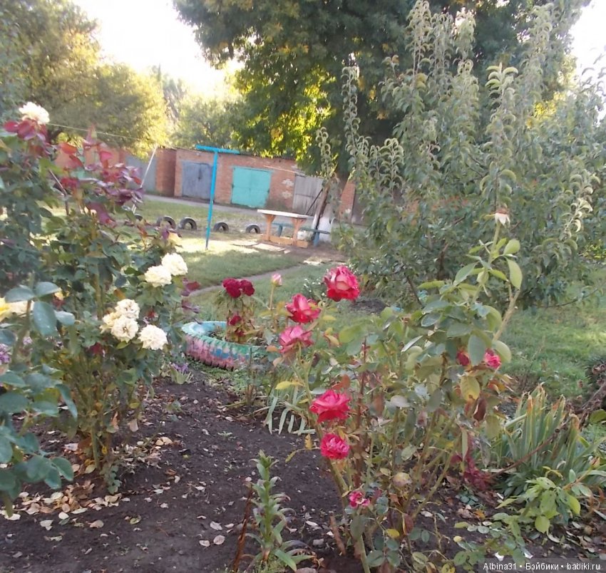 Путевые зарисовки. Краснодарский край