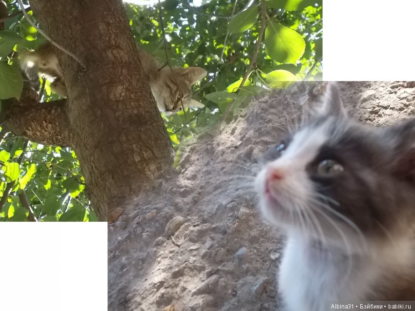 Путевые зарисовки. Краснодарский край