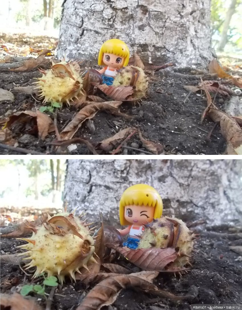 Путевые зарисовки. Краснодарский край