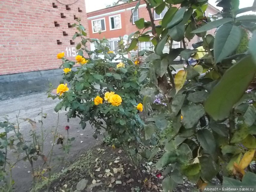 Путевые зарисовки. Краснодарский край