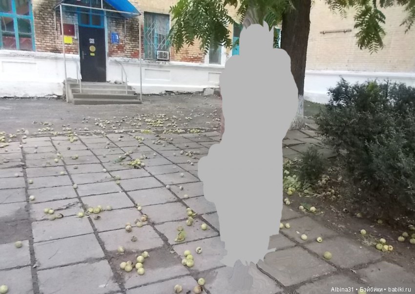 Путевые зарисовки. Краснодарский край