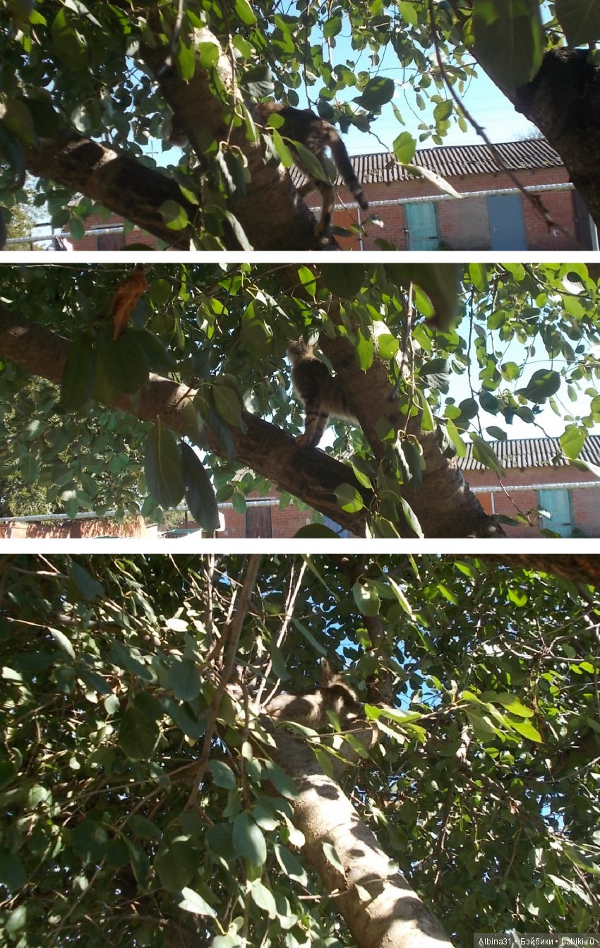 Путевые зарисовки. Краснодарский край