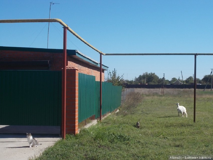 Путевые зарисовки. Краснодарский край