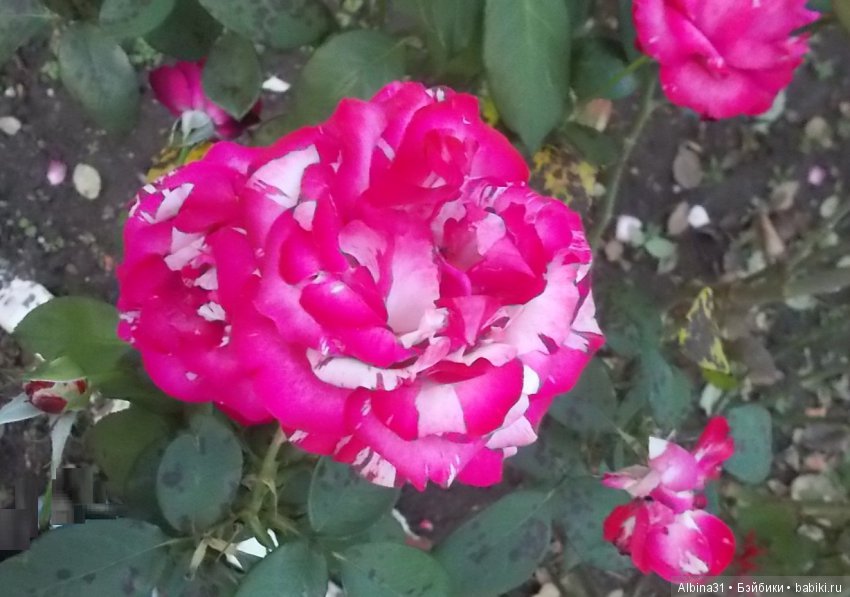 Путевые зарисовки. Краснодарский край