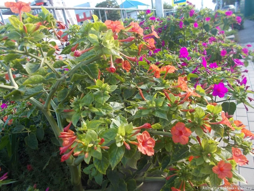 Путевые зарисовки. Краснодарский край